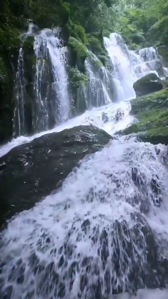 悟空降妖